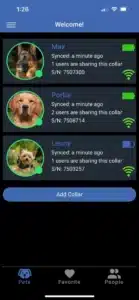 A screenshot of how multiple dogs will appear on a phone screen