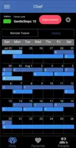 Screenshot of what the history and calendar view looks like