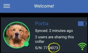 Screenshot showing how to find the last four digits that are used as your PIN