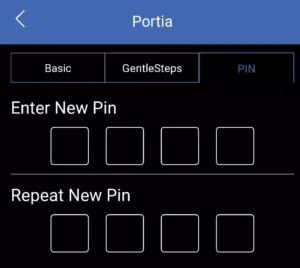 A screenshot of the Pin Screen on a phone