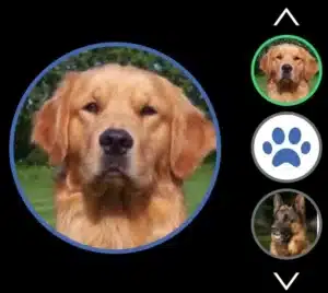 A screenshot showing how the large image in the Link receiver you are connected to.